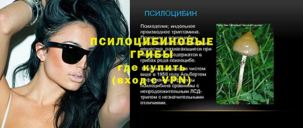 бошки Горно-Алтайск