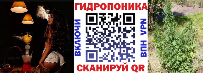 наркошоп  Озёрск  Бошки Шишки ГИДРОПОН 